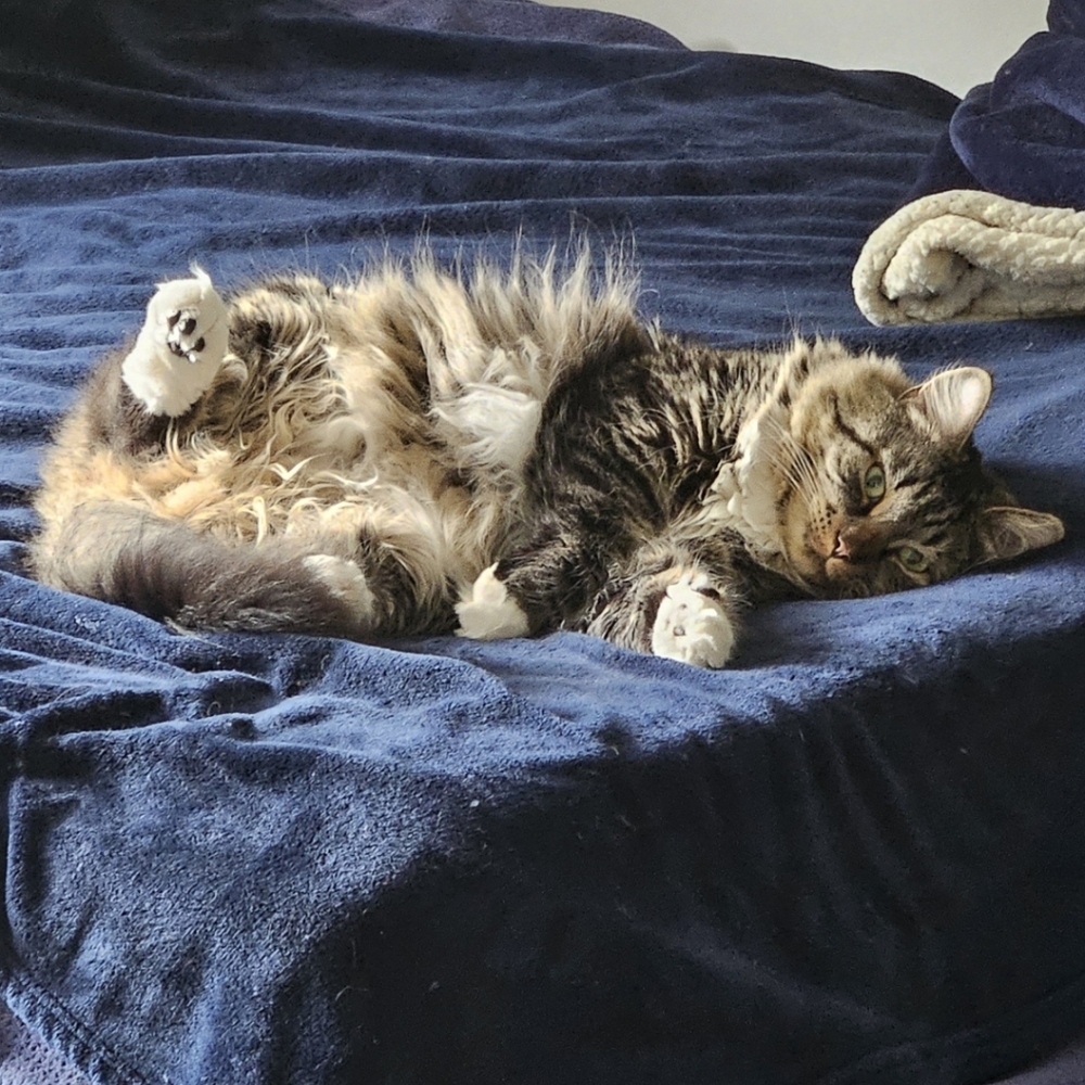 :::MEET YOUR POSHER!:::